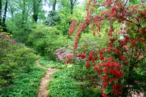 Lee-Garden-path